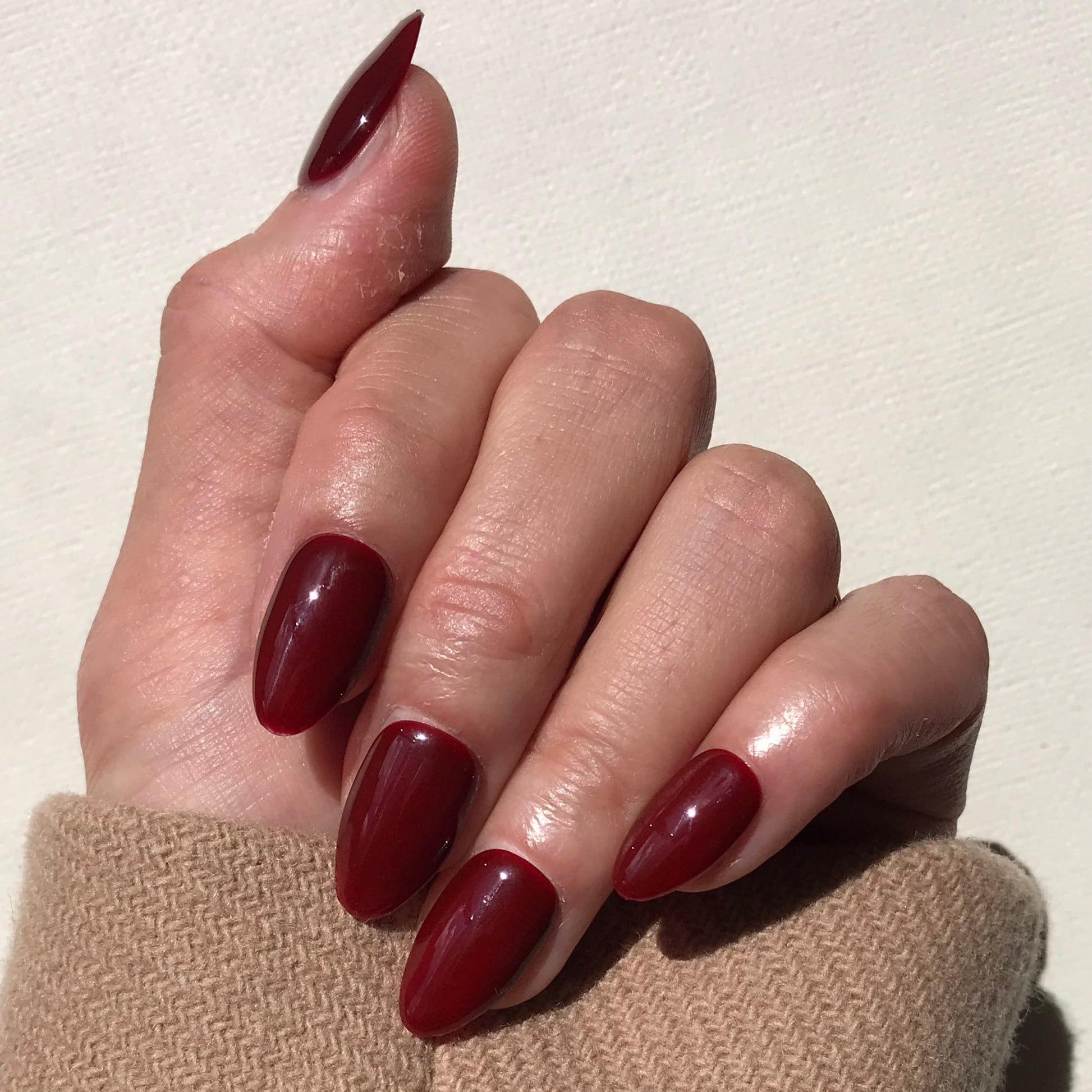 Calm Storm premium handmade press-on nails in ox blood in medium almond. 